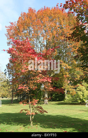 Arley Hall & Gärten, England. Herbstlicher Blick auf Arley Hall Gärten. Stockfoto