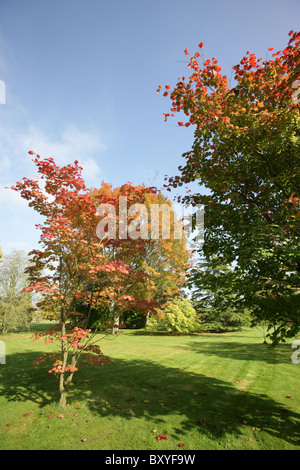 Arley Hall & Gärten, England. Herbstlicher Blick auf Arley Hall Gärten. Stockfoto