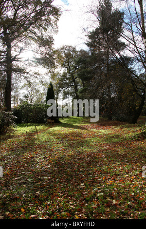 Arley Hall & Gärten, England. Herbstliche Ansicht von Waldgärten Arley Hall. Stockfoto