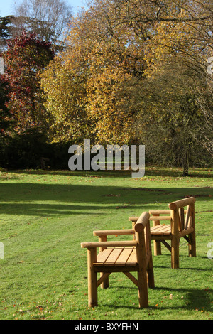 Arley Hall & Gärten, England. Herbstlicher Blick auf leere Bänke in Waldgärten Arley Hall. Stockfoto