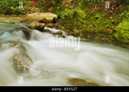 klarem Wasserfluss mit einem Wasserfall, umgeben von Wildnis Stockfoto