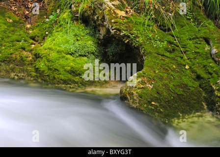 klarem Wasserfluss mit einem Wasserfall, umgeben von Wildnis Stockfoto