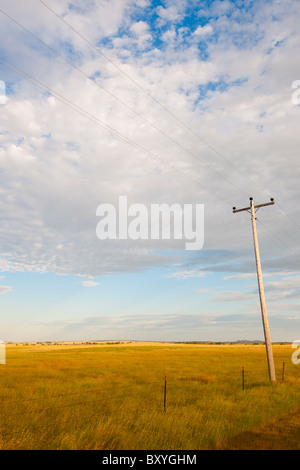 Telefonmast auf Prärie Stockfoto