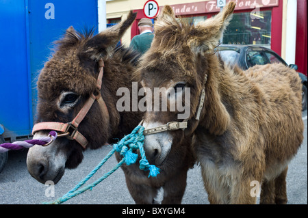 Pferd-Messe in Marktplatz in Kilrush, Co. Clare, Irland. Traditionell für Einheimische und Reisende zu Handel Pferde und Esel Stockfoto