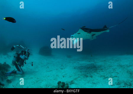 Scuba Diver fotografiert von Manta bei Cleaning Station, Manta Birostris, Raja Ampat, West Papua, Indonesien Stockfoto