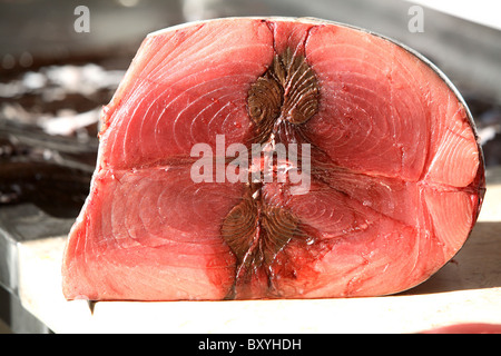 Frisch gefangener Fisch zu verkaufen. Fischmarkt Funchal Madeira Stockfoto
