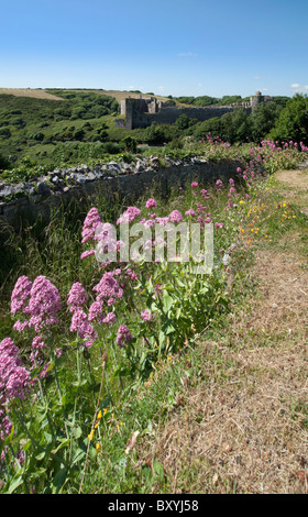 mittelalterliche Burgruine am Manorbier auf der Pembrokeshire Coast Dyfed wales Stockfoto