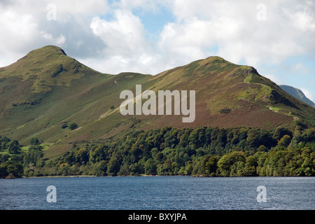 Catbells gesehen von Derwent Insel am Derwent Water im Lake District Stockfoto