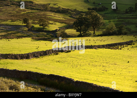 Ein Ländliches Motiv betrachtet vom Gipfel des Cat Glocken im Lake District Stockfoto