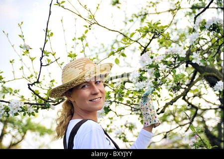 Junge Frau im Garten - im Apfelgarten Baum Stockfoto