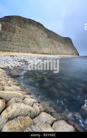 Die felsigen Strand und Klippen von Kimmeridge Bay - Dorset Jurassic Coast Stockfoto