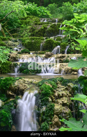 Viele kleine Wasserfälle in einem Ort wie Eden - westlichen Karpaten Stockfoto