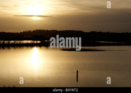 Minsmere RSPB Reserve bei Sonnenuntergang Stockfoto