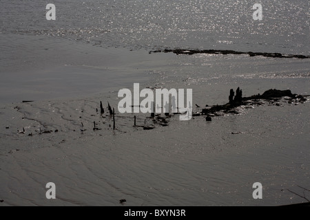 Die Überreste von einem Severn Trowl an den Ufern des The River Severn von Lydney Hafen Gloucestershire, England Stockfoto