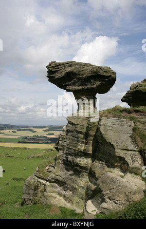 Die Bunnet Stane (oder Motorhaube Stein) rock-Formation, in der Nähe von Gateside Fife Schottland. Stockfoto