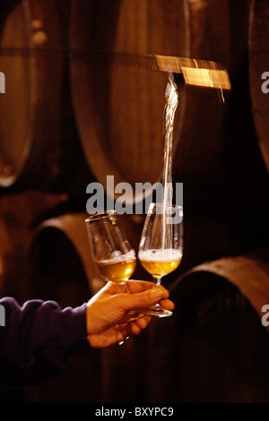 Catavinos y Vinos de Bodegas Tradicion Jerez De La Frontera Cadiz Andalusien España Weinkeller Andalusien Spanien Stockfoto