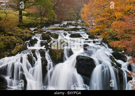 Schlucken Sie fällt, Betws-y-Coed, Wales, Wasserfall, Landschaft Stockfoto