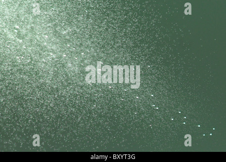 Spray von Aftershave / Parfüm Flasche Stockfoto