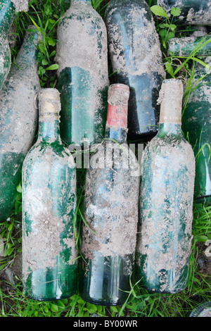 Alte Weinflaschen auf Rasen Stockfoto