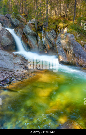 Gebirgsbach - Landschaft der hohen Tatra, Tatra, Studena-Tal, Slowakische Republik Stockfoto