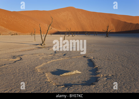 Tote Bäume in getrockneten Lehmpfanne, Namib-Naukluft-Nationalpark, Namibia Stockfoto