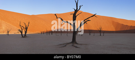 Tote Bäume in getrockneten Lehmpfanne, Namib-Naukluft-Nationalpark, Namibia Stockfoto