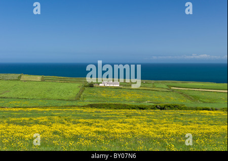 Traditionelles Ferienhaus an der Atlantikküste unter dem Sternenhimmel in Killard, County Clare, Westküste Irlands Stockfoto