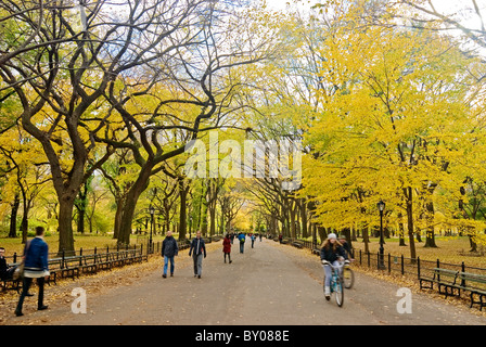 Menschen genießen die Mall im Central Park im Herbst, New York City. Stockfoto