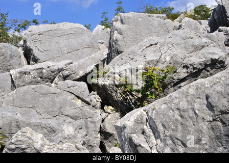 große Felsbrocken auf felsigen Berg Stockfoto