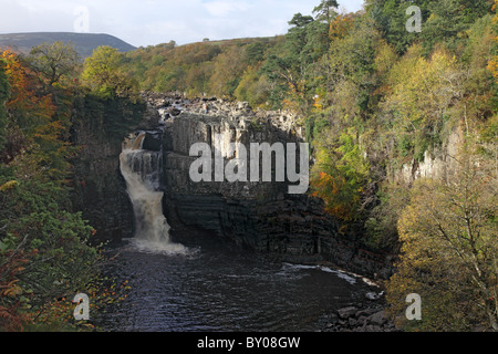 Hohe Kraft Wasserfall im Herbst oberen Teesdale County Durham UK Stockfoto