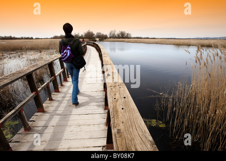 Parque Nacional de Las Tablas de Daimiel Ciudad Real Castilla la Mancha España Nationalpark Spanien Stockfoto