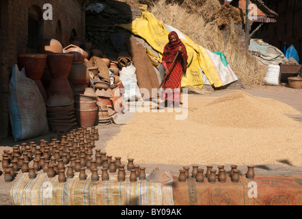 Dreschen Reis während der Herbsternte in Potters Square in der alten Stadt Bhaktapur in der Nähe von Kathmandu, Nepal Stockfoto