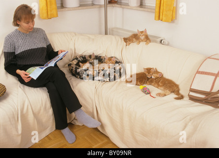 Frau und Kätzchen auf couch Stockfoto