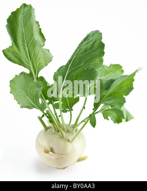 Kohl Kohlrabi auf weißem Hintergrund Stockfoto