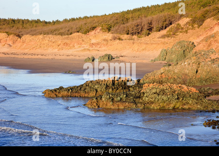 Basalt Pillow Lava Felsen, Malltraeth Strand und Newborough Wald von Llanddwyn Island. Newborough, Isle of Anglesey, North Wales, Großbritannien Stockfoto
