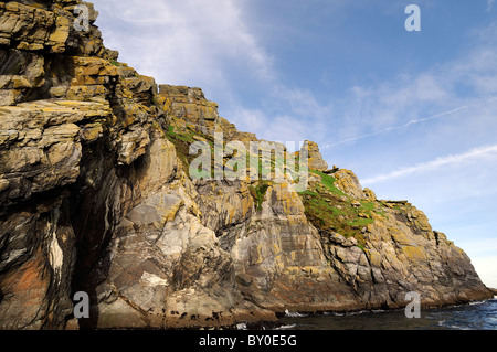 Skellig Michael alten keltischen klösterlichen Insel Siedlung Insel County Kerry Irland schwindelerregende Schritte Treppen Treppe Weg vor Stockfoto