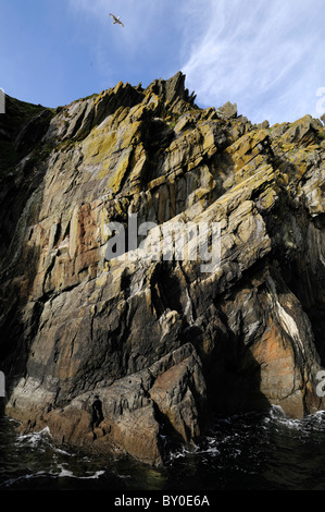 Skellig Michael alten keltischen klösterlichen Insel Siedlung Insel County Kerry Irland schwindelerregende Schritte Treppen Treppe Weg vor Stockfoto