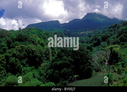 La grande Soufriere, la Soufriere Soufriere Volcano, aktiven Vulkan, Stratovulkan, Kleine Antillen vulkanischen Bogen, Guadeloupe, Französisch Westindien Stockfoto