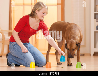 Frau und Rhodesian Ridgeback Dog - Intelligenz-test Stockfoto