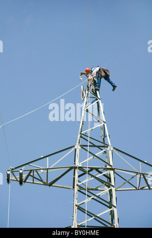 Arbeiter auf einem Strommast anbringen der Kabel, Österreich, Europa Stockfoto