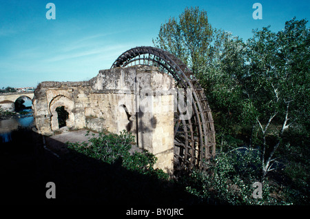 Cordoba Andalusien Spanien Die Mittelalterliche Noria Von Albolafia (Wasserrad) Stockfoto