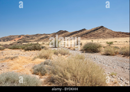 Trockenes Flussbett, Naukluft Berge (naukluftberge) zentrale Namibia. Diese hohe Reichweite abfängt, was wenig Feuchtigkeit bläst in vom Atlantischen Ozean Stockfoto