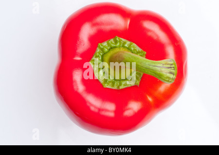 Makroaufnahme von bunten Paprika, isoliert auf weiss Stockfoto