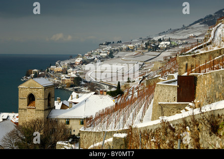 Schneebedeckten Weinberge an den Genfer See, Lac Leman, in die UNESCO-Welterbe Lavaux, Saint-Saphorin, Schweiz Stockfoto