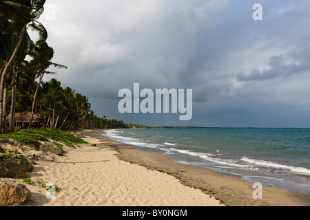 Strand von Pacific Harbour, Beqa Lagoon, Viti Levu, Fidschi Stockfoto