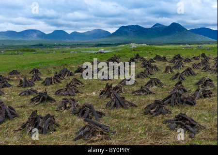 Gestapelte Torf in Turf Moor an der alten Moor Strasse nahe Roundstone, Connemara, County Galway Stockfoto