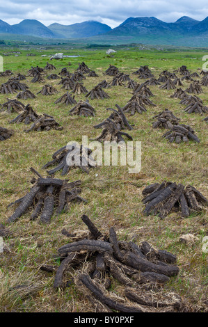 Gestapelte Torf in Turf Moor an der alten Moor Strasse nahe Roundstone, Connemara, County Galway Stockfoto