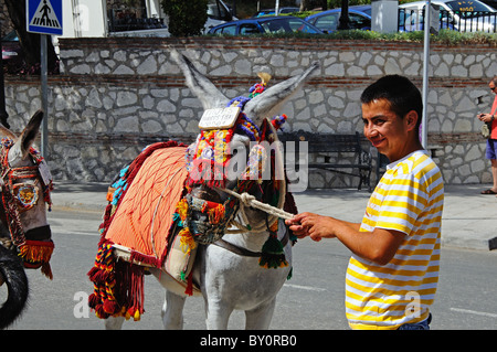 Esel (Burro Taxi), Mijas Costa Del Sol, Provinz Malaga, Andalusien, Südspanien, Westeuropa. Stockfoto