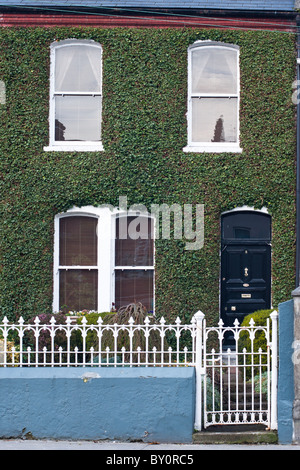 Ein Efeu bedeckt Haus in Limerick, Irland Irlands traditionelle grün. Stockfoto