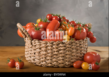 Ein Korb mit einer Variation von Tomaten Stockfoto